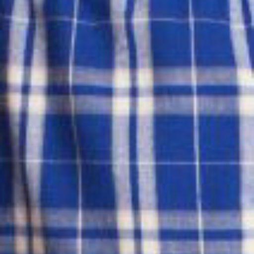 Blue Plaid