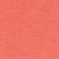Bright Salmon