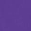 Sport Purple