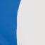 White/Royal